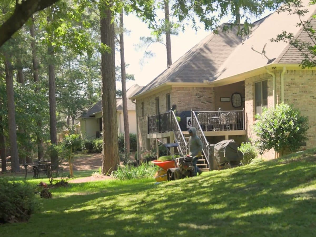 LCN crew working on a sloped backyard under tall pines