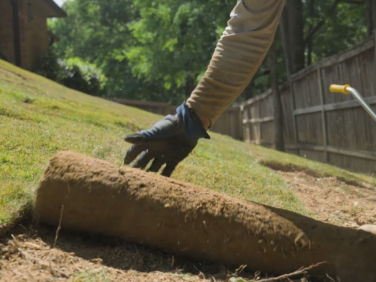 Gloved hand rolling out a fresh piece of sod on a slope